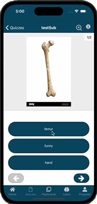 Mobile App Interface